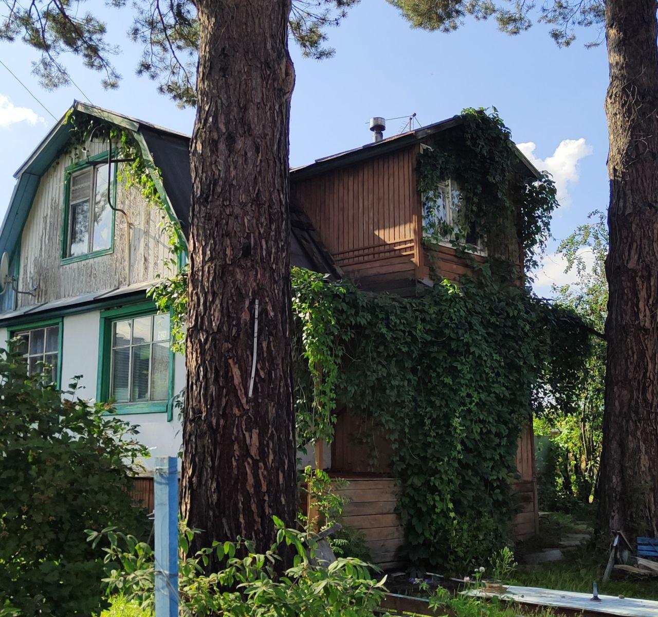 Фото Новосибирские дачники поделились кадрами своих садовых домиков 3